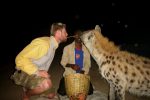 harar-hyena-feeding