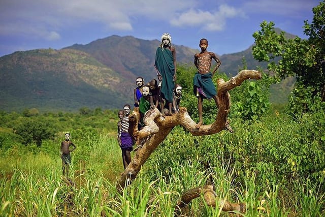 c88227af-db2f-42d3-b7b9-0fa125038c11_7-days-private-omo-valley-dorze-and-arba-minch-tour-medium